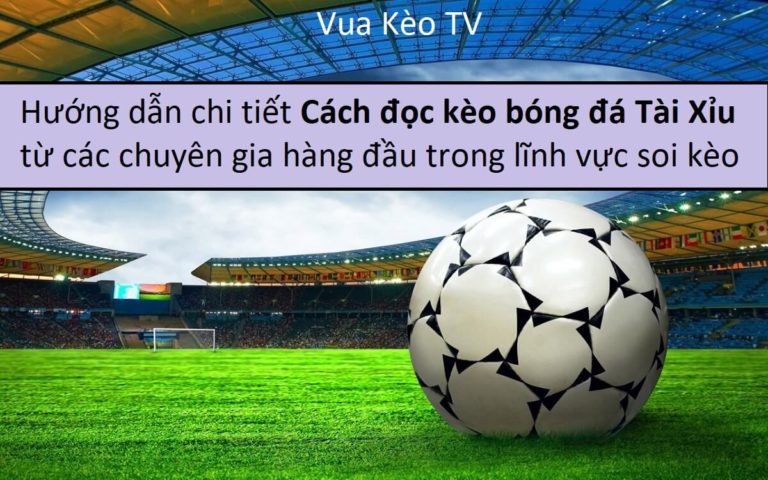 Hướng dẫn "cách đọc kèo bóng đá Tài Xỉu" từ các chuyên gia hàng đầu