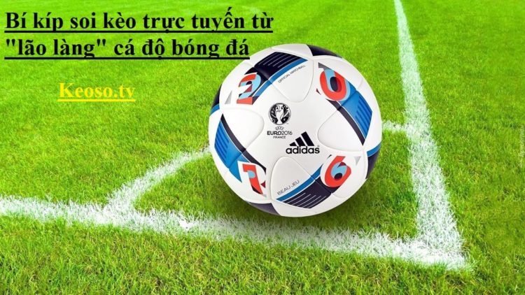 Bí kíp soi kèo trực tuyến từ những "lão làng" cá độ bóng đá
